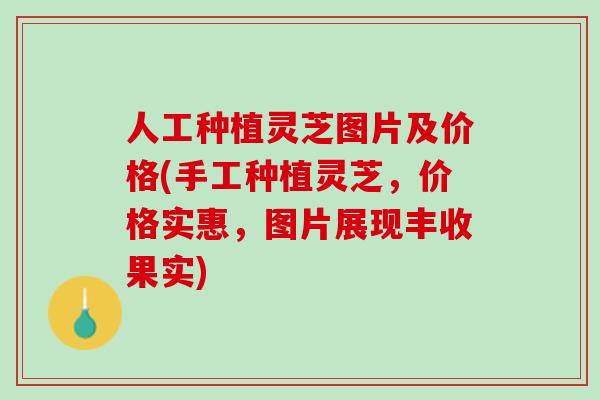人工种植灵芝图片及价格(手工种植灵芝，价格实惠，图片展现丰收果实)