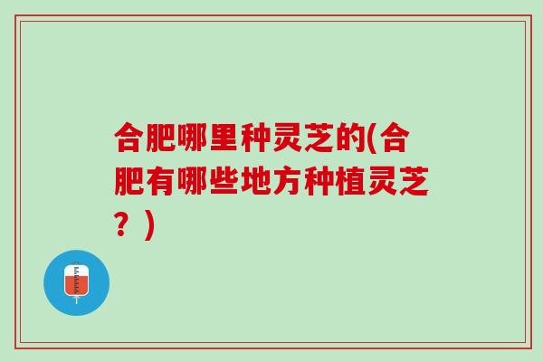 合肥哪里种灵芝的(合肥有哪些地方种植灵芝？)