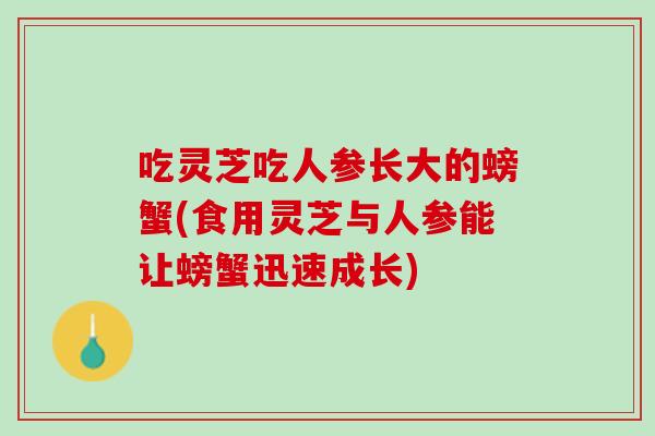 吃灵芝吃人参长大的螃蟹(食用灵芝与人参能让螃蟹迅速成长)