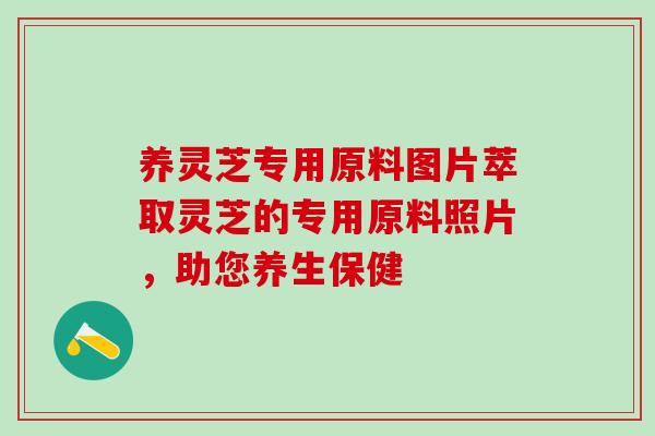 养灵芝专用原料图片萃取灵芝的专用原料照片，助您养生保健