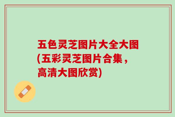 五色灵芝图片大全大图(五彩灵芝图片合集,高清大图欣赏) 五色灵芝图片大全大图(五彩灵芝图片合集,高清大图欣赏)