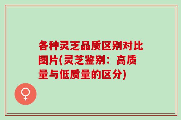 各种灵芝品质区别对比图片(灵芝鉴别：高质量与低质量的区分)