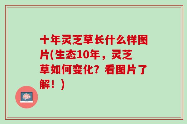 十年灵芝草长什么样图片(生态10年,灵芝草如何变化?看图片了解!) 十年灵芝草长什么样图片(生态10年,灵芝草如何变化?看图片了解!)