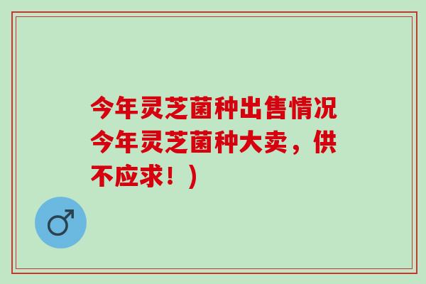 今年灵芝菌种出售情况今年灵芝菌种大卖，供不应求！)
