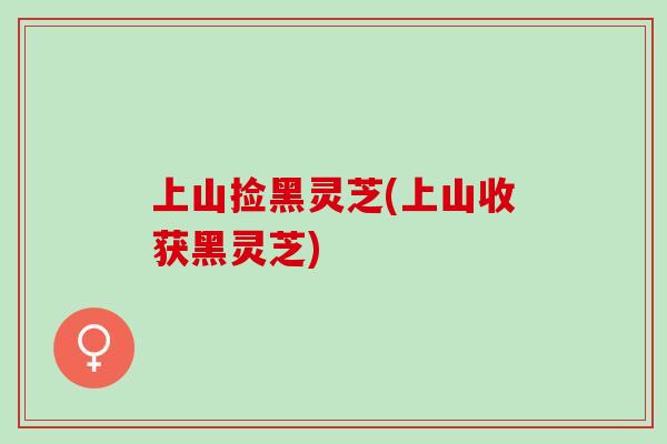 上山捡黑灵芝(上山收获黑灵芝)
