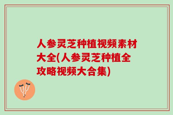 人参灵芝种植视频素材大全(人参灵芝种植全攻略视频大合集)