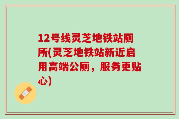 12号线灵芝地铁站厕所(灵芝地铁站新近启用高端公厕，服务更贴心)