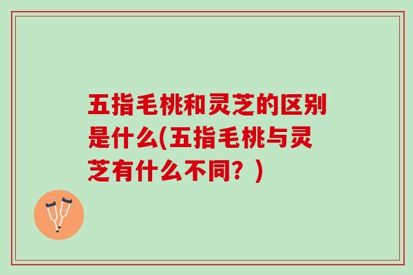 五指毛桃和灵芝的区别是什么(五指毛桃与灵芝有什么不同？)