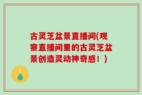 古灵芝盆景直播间(观察直播间里的古灵芝盆景创造灵动神奇感！)