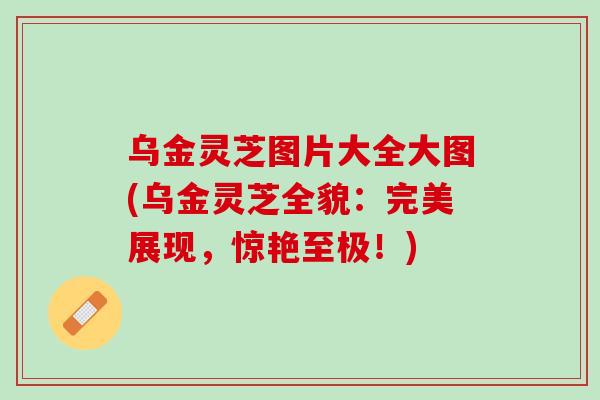 乌金灵芝图片大全大图(乌金灵芝全貌：完美展现，惊艳至极！)