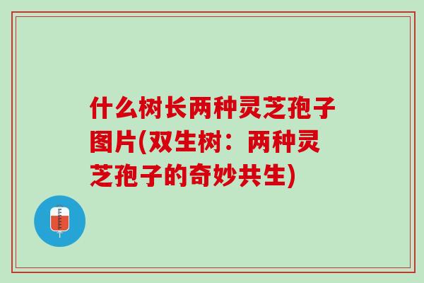 什么树长两种灵芝孢子图片(双生树:两种灵芝孢子的奇妙共生) 什么树长两种灵芝孢子图片(双生树:两种灵芝孢子的奇妙共生)