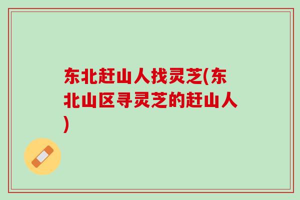 东北赶山人找灵芝(东北山区寻灵芝的赶山人)