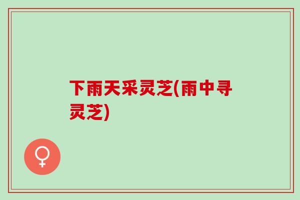 下雨天采灵芝(雨中寻灵芝)
