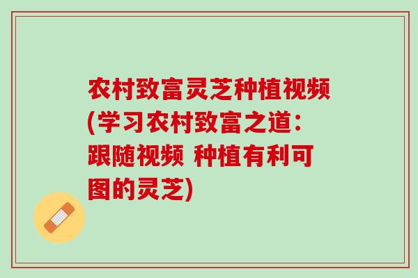农村致富灵芝种植视频(学习农村致富之道：跟随视频 种植有利可图的灵芝)
