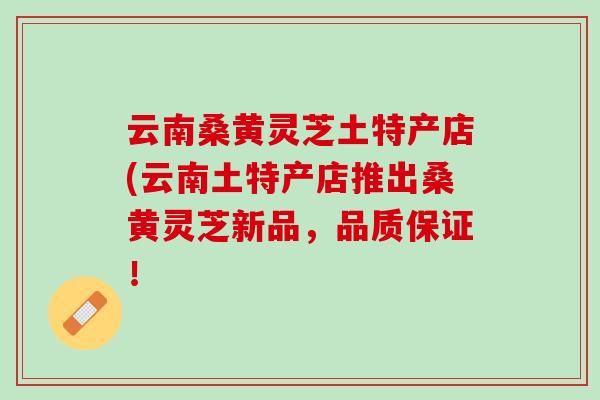 云南桑黄灵芝土特产店(云南土特产店推出桑黄灵芝新品，品质保证！