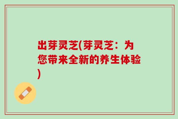 出芽灵芝(芽灵芝：为您带来全新的养生体验)