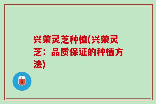 兴荣灵芝种植(兴荣灵芝：品质保证的种植方法)