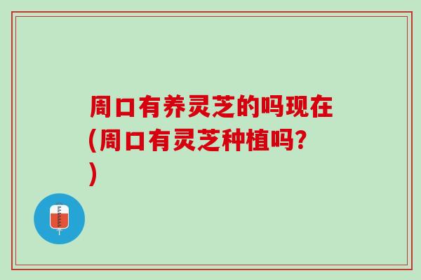周口有养灵芝的吗现在(周口有灵芝种植吗？)