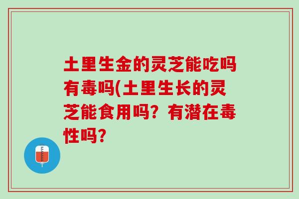 土里生金的灵芝能吃吗有毒吗(土里生长的灵芝能食用吗？有潜在毒性吗？