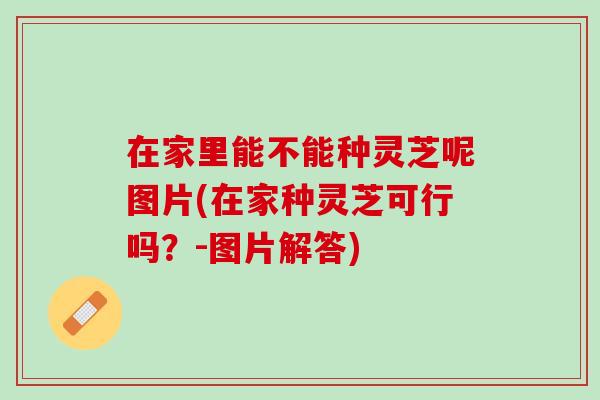 在家里能不能种灵芝呢图片(在家种灵芝可行吗？-图片解答)