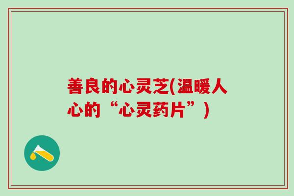 善良的心灵芝(温暖人心的“心灵药片”)