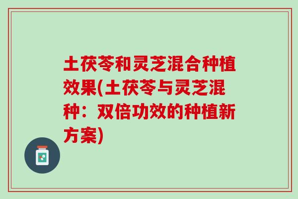 土茯苓和灵芝混合种植效果(土茯苓与灵芝混种：双倍功效的种植新方案)