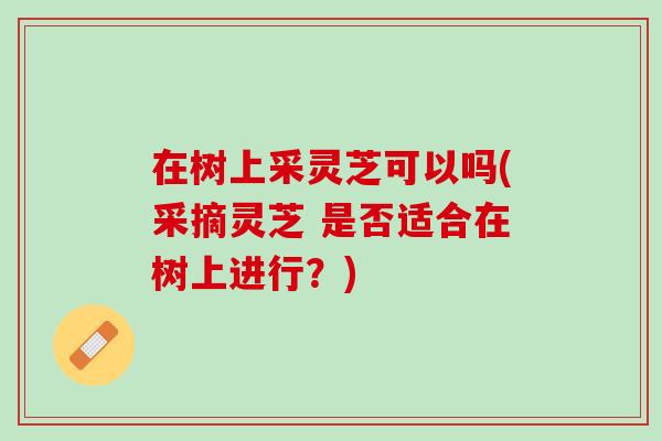 在树上采灵芝可以吗(采摘灵芝 是否适合在树上进行?) 在树上采灵芝可以吗(采摘灵芝 是否适合在树上进行?)