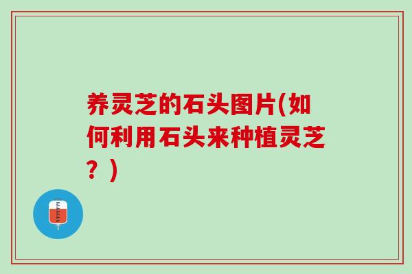 养灵芝的石头图片(如何利用石头来种植灵芝？)
