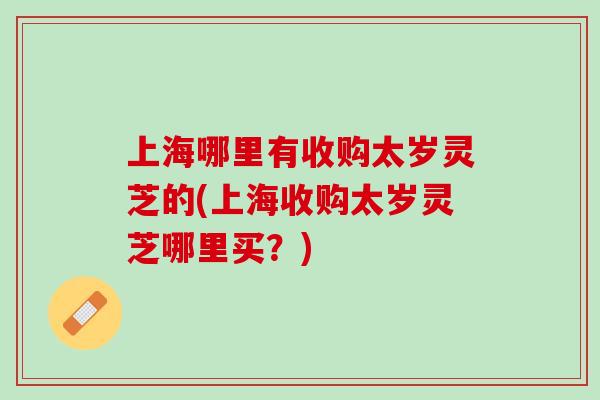 上海哪里有收购太岁灵芝的(上海收购太岁灵芝哪里买？)