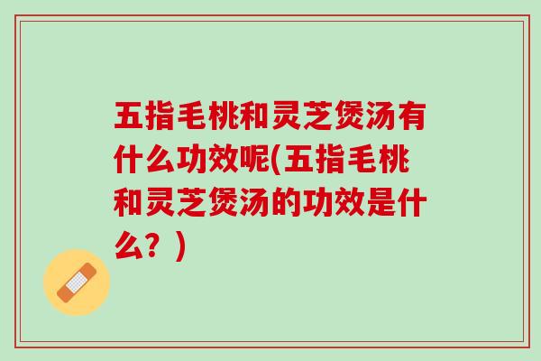 五指毛桃和灵芝煲汤有什么功效呢(五指毛桃和灵芝煲汤的功效是什么？)