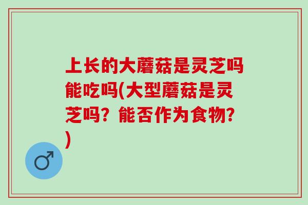 上长的大蘑菇是灵芝吗能吃吗(大型蘑菇是灵芝吗？能否作为食物？)