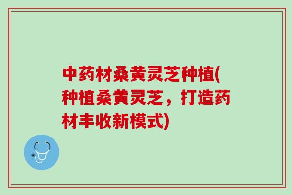 材桑黄灵芝种植(种植桑黄灵芝,打造药材丰收新模式) 材桑黄灵芝种植(种植桑黄灵芝,打造药材丰收新模式)