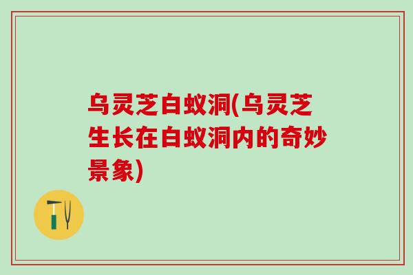 乌灵芝白蚁洞(乌灵芝生长在白蚁洞内的奇妙景象)