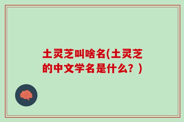 土灵芝叫啥名(土灵芝的中文学名是什么？)
