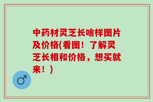 中药材灵芝长啥样图片及价格(看图！了解灵芝长相和价格，想买就来！)