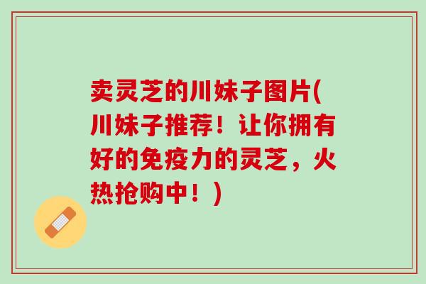 卖灵芝的川妹子图片(川妹子推荐！让你拥有好的免疫力的灵芝，火热抢购中！)