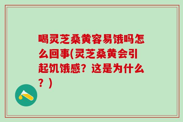 喝灵芝桑黄容易饿吗怎么回事(灵芝桑黄会引起饥饿感？这是为什么？)