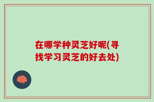 在哪学种灵芝好呢(寻找学习灵芝的好去处)