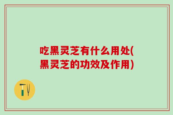 吃黑灵芝有什么用处(黑灵芝的功效及作用)