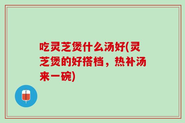 吃灵芝煲什么汤好(灵芝煲的好搭档，热补汤来一碗)