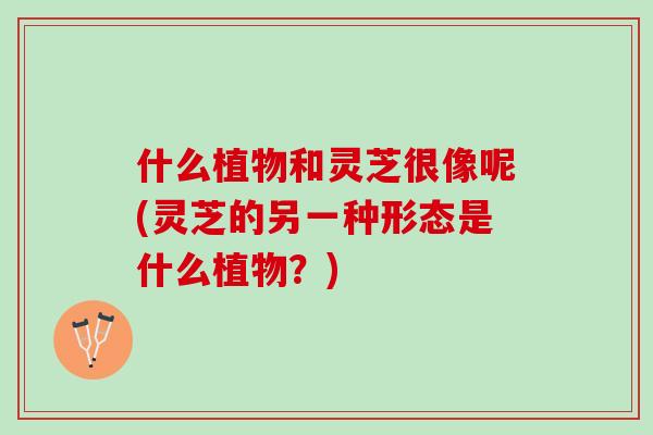 什么植物和灵芝很像呢(灵芝的另一种形态是什么植物？)