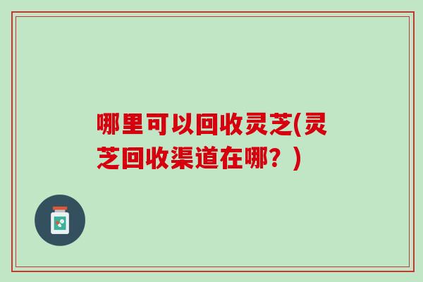 哪里可以回收灵芝(灵芝回收渠道在哪？)