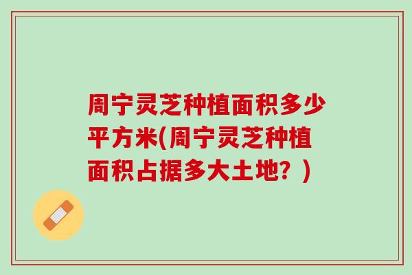 周宁灵芝种植面积多少平方米(周宁灵芝种植面积占据多大土地？)