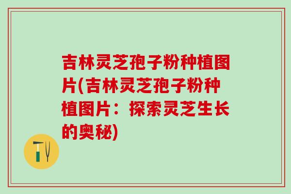 吉林灵芝孢子粉种植图片(吉林灵芝孢子粉种植图片:探索灵芝生长的奥秘) 吉林灵芝孢子粉种植图片(吉林灵芝孢子粉种植图片:探索灵芝生长的奥秘)
