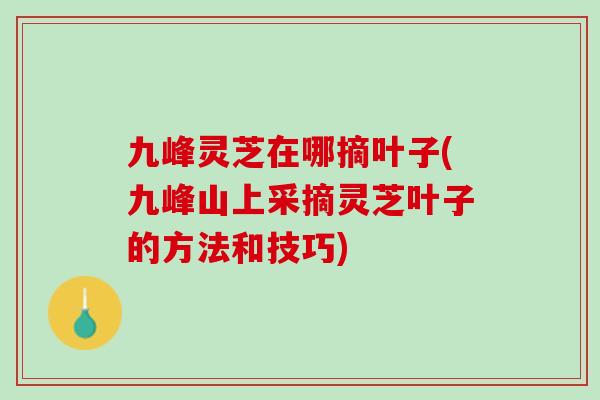 九峰灵芝在哪摘叶子(九峰山上采摘灵芝叶子的方法和技巧) 九峰灵芝在哪摘叶子(九峰山上采摘灵芝叶子的方法和技巧)