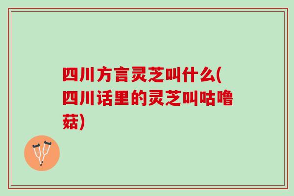 四川方言灵芝叫什么(四川话里的灵芝叫咕噜菇)