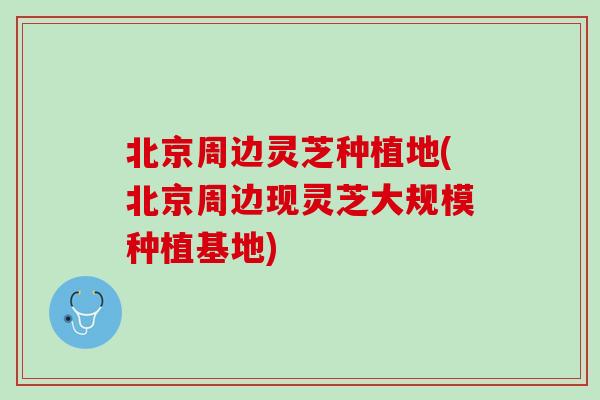 北京周边灵芝种植地(北京周边现灵芝大规模种植基地)