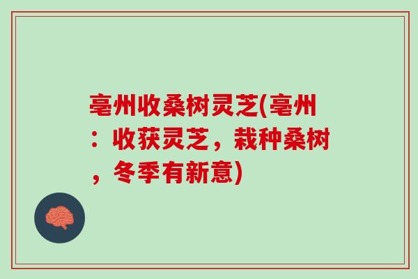 亳州收桑树灵芝(亳州：收获灵芝，栽种桑树，冬季有新意)