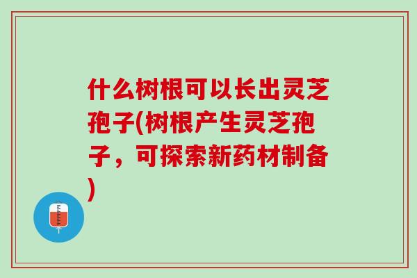 什么树根可以长出灵芝孢子(树根产生灵芝孢子，可探索新药材制备)