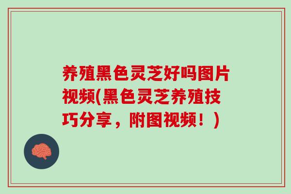养殖黑色灵芝好吗图片视频(黑色灵芝养殖技巧分享，附图视频！)